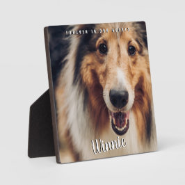 Für immer in unserem Herzen Foto Haustier Erinneru Fotoplatte