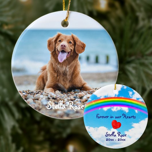 Für immer in unserem Herzen - Rainbow Bridge Pet M Keramik Ornament