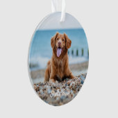 Für immer in unserem Herzen - Rainbow Bridge Pet M Ornament (Vorderseite)