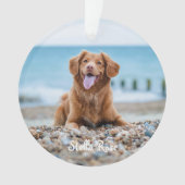 Für immer in unserem Herzen - Rainbow Bridge Pet M Ornament (Vorderseite)