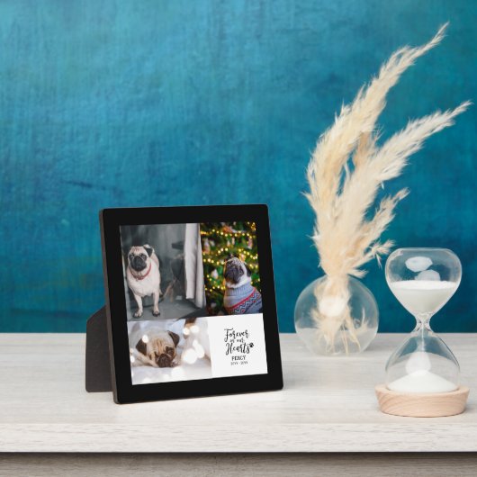 Für immer in unseren Herzen | FotoCollage zur Erin Fotoplatte (InSitu)