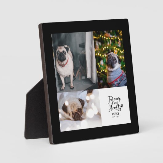 Für immer in unseren Herzen | FotoCollage zur Erin Fotoplatte (Vorderseite)