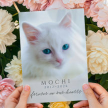 Für immer in unseren Herzen Katzen Gedenkstätte fü