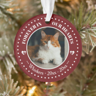 Für immer in unseren Herzen Katzenfoto- und Namens Ornament