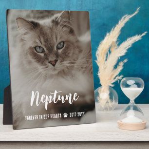 Für immer in unseren Herzen Name in Schrift Katze Fotoplatte