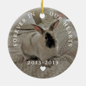 Für immer in unseren Herzen Personalisierte Hausti Keramik Ornament (Hinten)