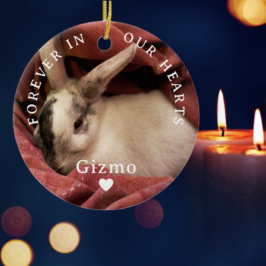 Für immer in unseren Herzen Personalisierte Hausti Keramik Ornament