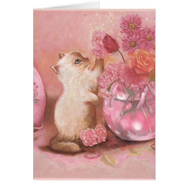 Für immer Kätzchen (Vorne)