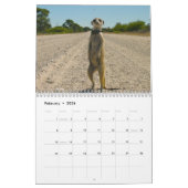 Für immer Legenden - Kalender (Feb 2026)