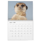 Für immer Legenden - Kalender (Mär 2027)