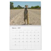 Für immer Legenden - Kalender (Feb 2027)