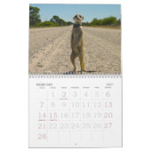 Für immer Legenden - Kalender (Feb 2027)