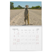 Für immer Legenden - Kalender (Feb 2026)