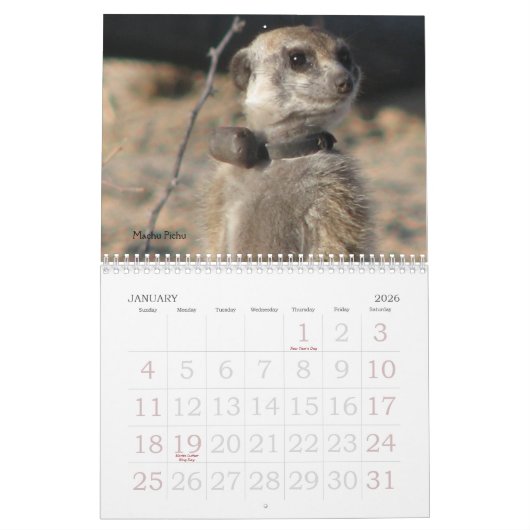 Für immer Legenden - Kalender (Jan 2026)