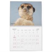 Für immer Legenden - Kalender (Mär 2026)