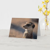 Für immer Mozart! Gruß-Karte Karte (Gelbe Blume)