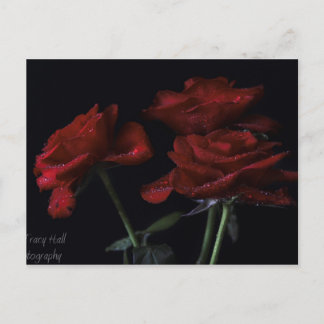 Für immer postkarte