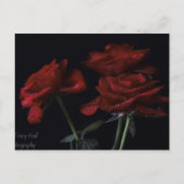 Für immer postkarte (Vorderseite)