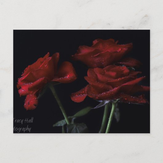 Für immer postkarte (Vorderseite)