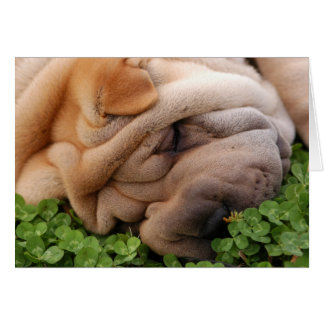 Für immer um dein Herz