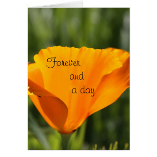 Für immer und ein Tag