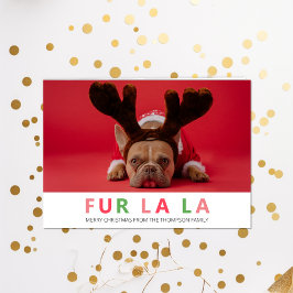 Fur La Christmas Funny Funny Pet Hund Lover Foto Feiertagskarte