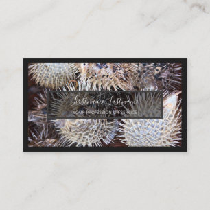 Für Meeresexperten und Meeresfrüchte-Liebhaber Visitenkarte