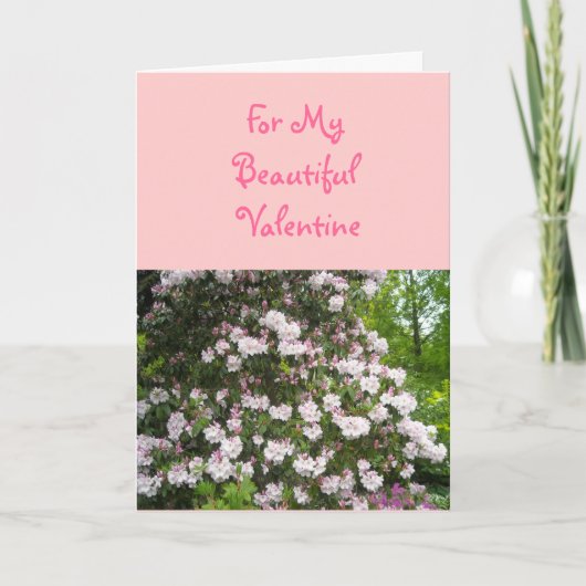 Für mein schönes Valentine Feiertagskarte (Vorderseite)