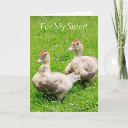 Für mein Schwesterkrebs-Support-Duckling Karte (Vorderseite)