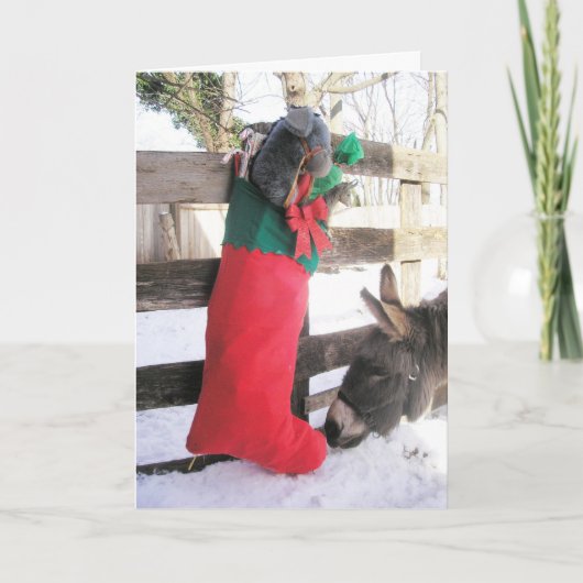 "Für mich?" Weihnachtskarte Feiertagskarte (Vorderseite)