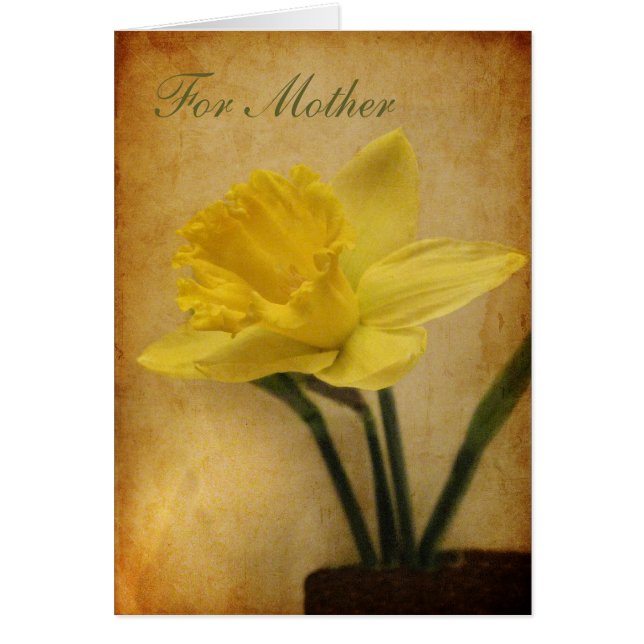 Für Mutter mit Daffodin (Vorne)
