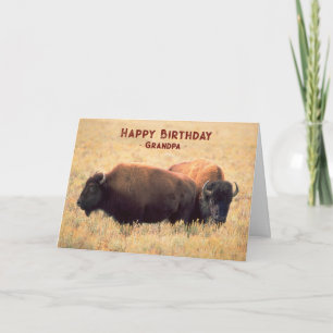 Für Opa zum Geburtstag mit einem Paar Bison Karte