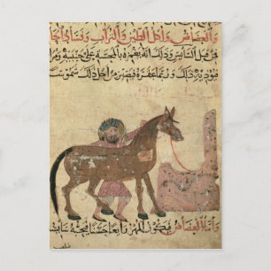 für Pferde gekümmert, Abbildung Postkarte