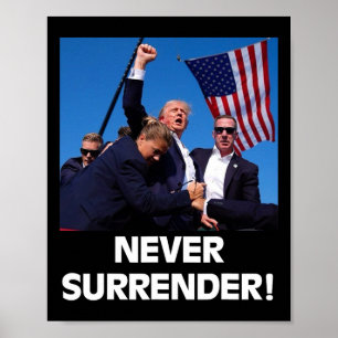 Für Präsident Trump3 Poster