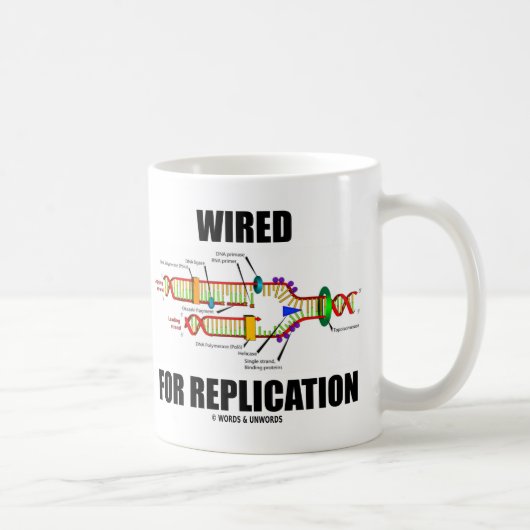 Für Replikation (DNA-Replikation) verkabelt Kaffeetasse (Rechts)