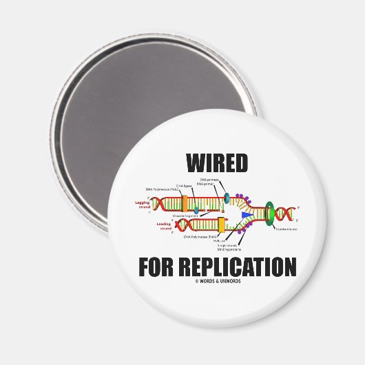 Für Replikation (DNA-Replikation) verkabelt Magnet (Vorderseite/Rückseite)