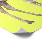 Für sie poster (Ecke)