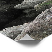 Fur Siegel Gang Poster (Ecke)