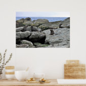 Fur Siegel Gang Poster (Küche)