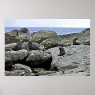 Fur Siegel Gang Poster