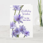 Für Sister Birthday Violet Chicory Blume Karte<br><div class="desc">Herzlichen Glückwunsch zum Geburtstag,  eine Papiergrusskarte für eine Schwester. Auf der Karte befindet sich ein Blumenfoto mit Zichorien-Blume in Violetttönen. Gedicht drinnen. Personalisieren Sie das Innenleben nach Wunsch. Art,  Bild und Vers Copyright © Shoaff Ballanger Studios,  2023.</div>