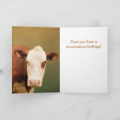 Für Son Funny Cow Happy Birthday Karte (Innenseite)
