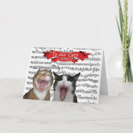 Für unsere Katzen Feiertagskarte