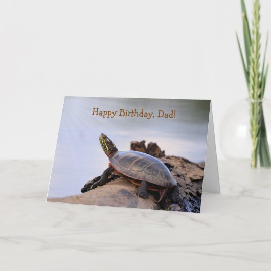 Für Vater, Schildkröte Geburtstag Karte (Vorderseite)