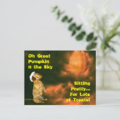 Für viele Leckereien Hübsche Sitze Postkarte (Stehend Vorderseite)