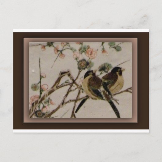 Für Vögel Postkarte (Vorderseite)