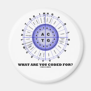 Für was werden Sie kodiert? (Aminosäure-Rad) Magnet