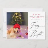 Furche und helle Haustiere 3 Foto Funny Ferienkart Einladung (Vorderseite)