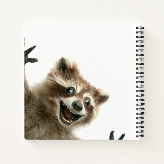 Furcht erregend glückliches Raccoon-Notebook Notizblock (Rückseite)