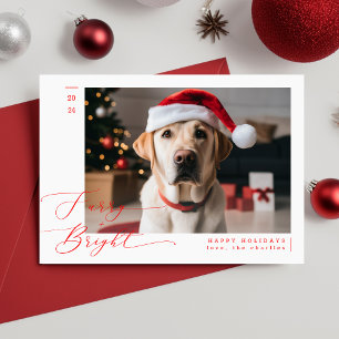 Furcht und hell Funny Funny Pet Hund Foto Weihnach Feiertagskarte